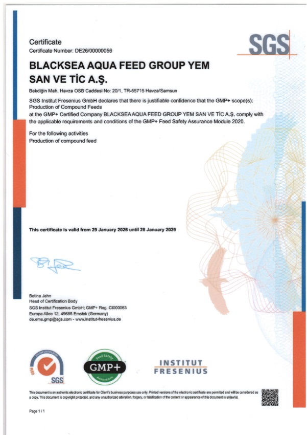 GMP+ sertifikası